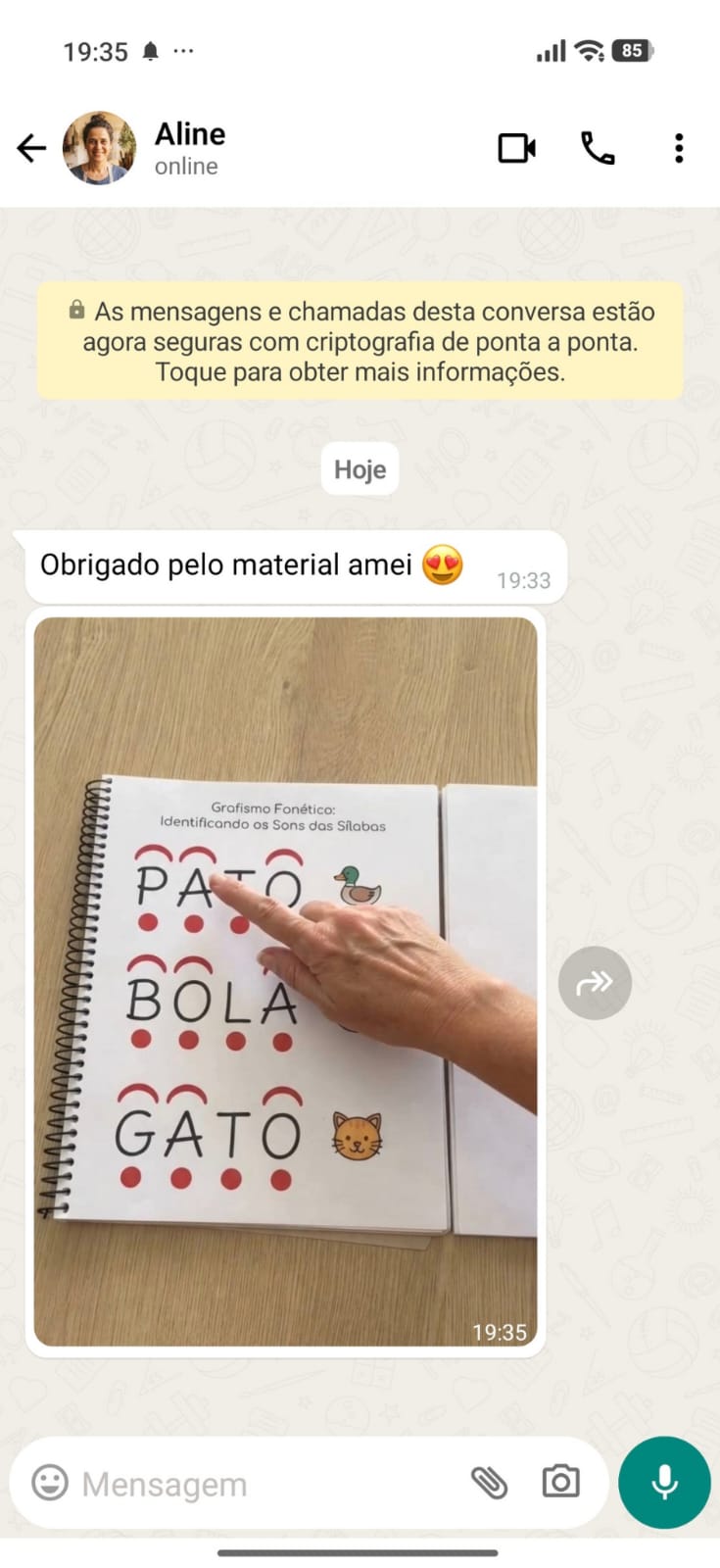 Print de WhatsApp: cliente Aline aprovando o material